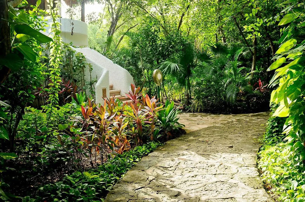 Amarte Maroma Hotel Eco Boutique Spa Punta Maroma