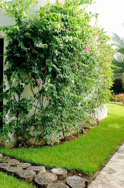 Amarte Maroma Hotel Eco Boutique Spa Punta Maroma