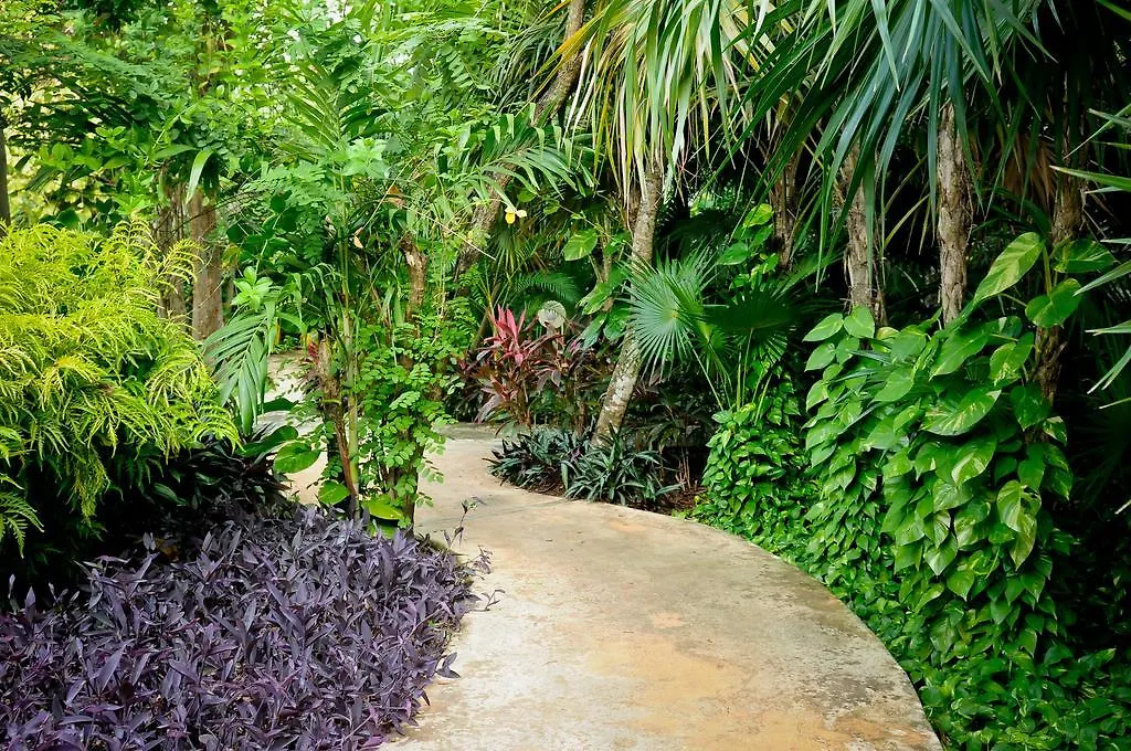 Amarte Maroma Hotel Eco Boutique Spa Punta Maroma