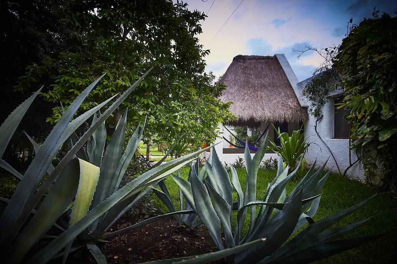 ****  Amarte Maroma Hotel Eco Boutique Spa Punta Maroma Mexikó